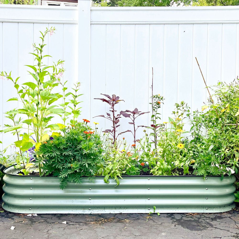 11&” Tall 6.5’x2′ Metal Raised Garden Beds (6 in 1)