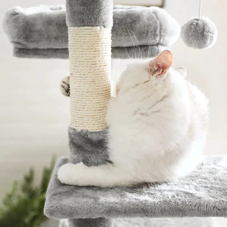 ❤️The Best Gift For Your Cats