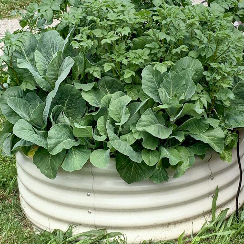 17&” Tall 42&” Round Metal Raised Garden Beds