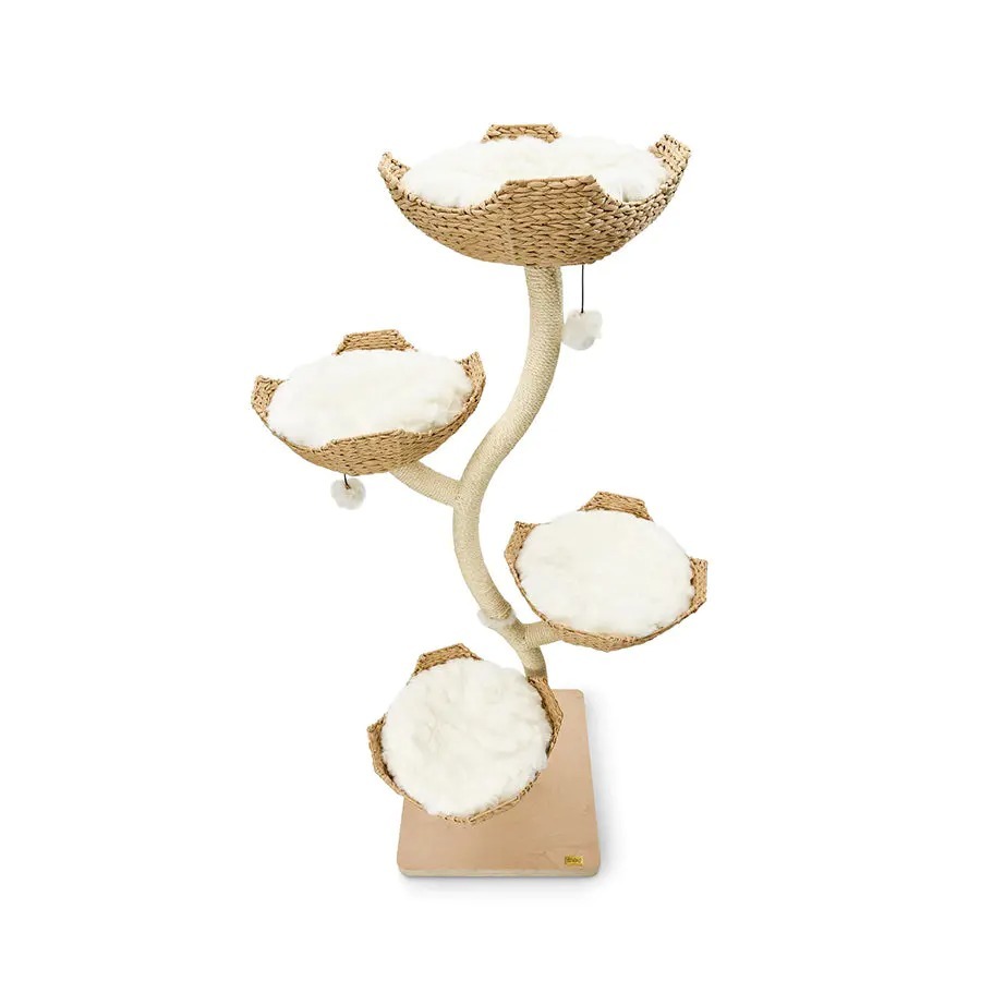 ❤️The Best Gift For Your Cats