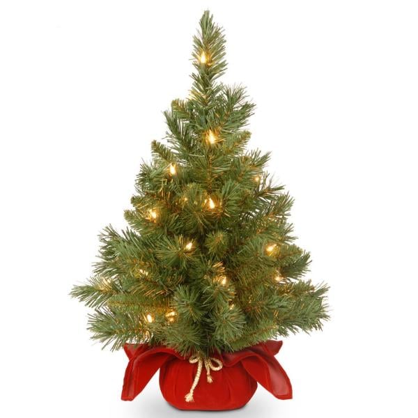 24 in. Majestic Fir Tree with Clear Lights