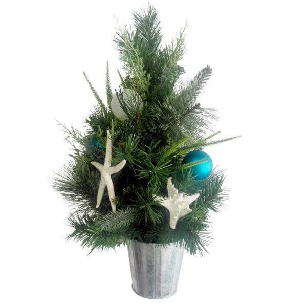 22 in. Coastal Indoor Mixed Pine Tree
