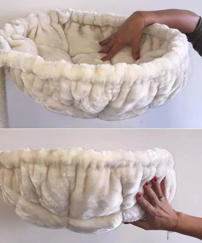 ❤️The Best Gift For Your Cats