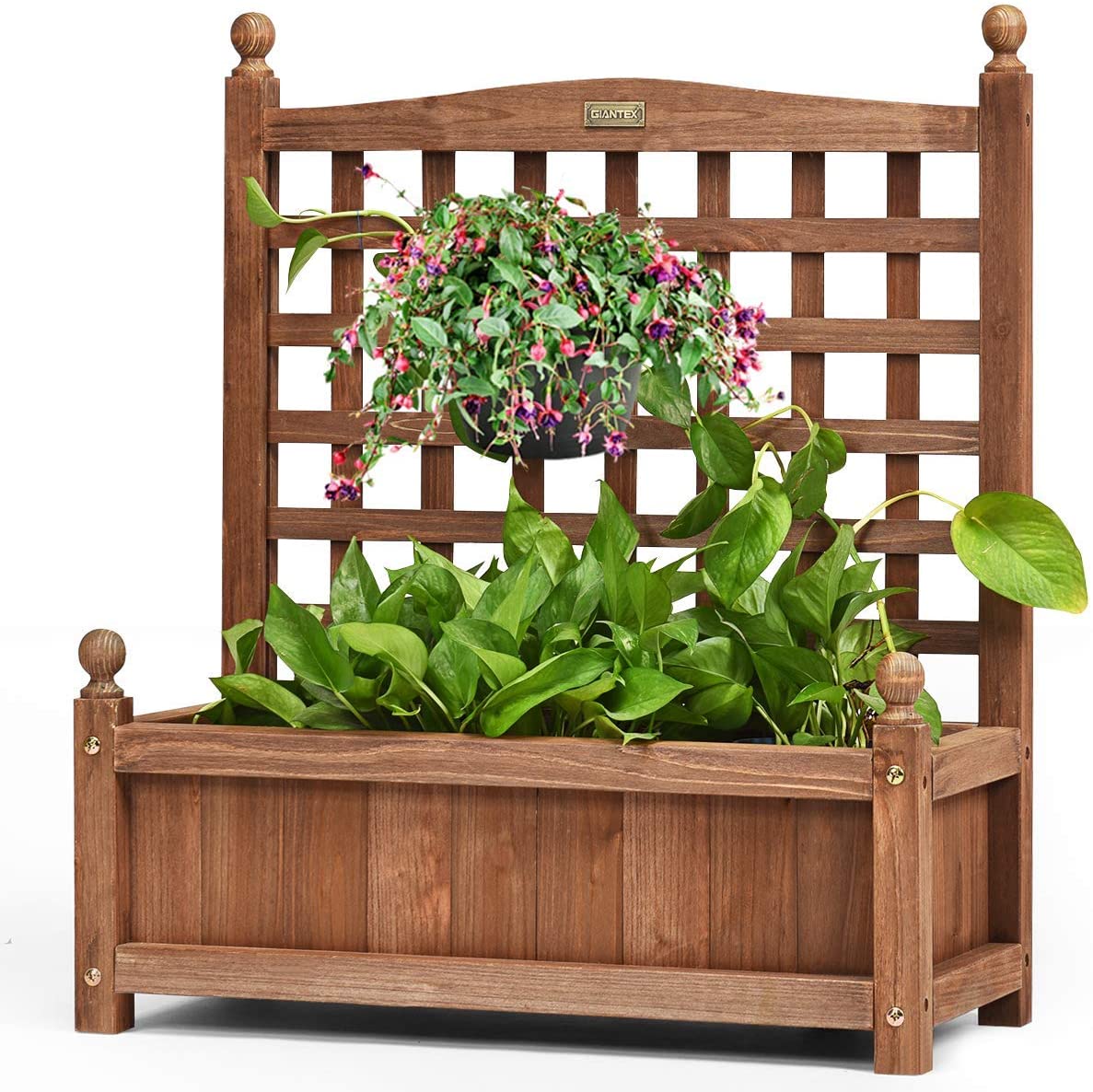 Wooden Raised Garden Bed Freestanding Elevated Planter Box with Trellis