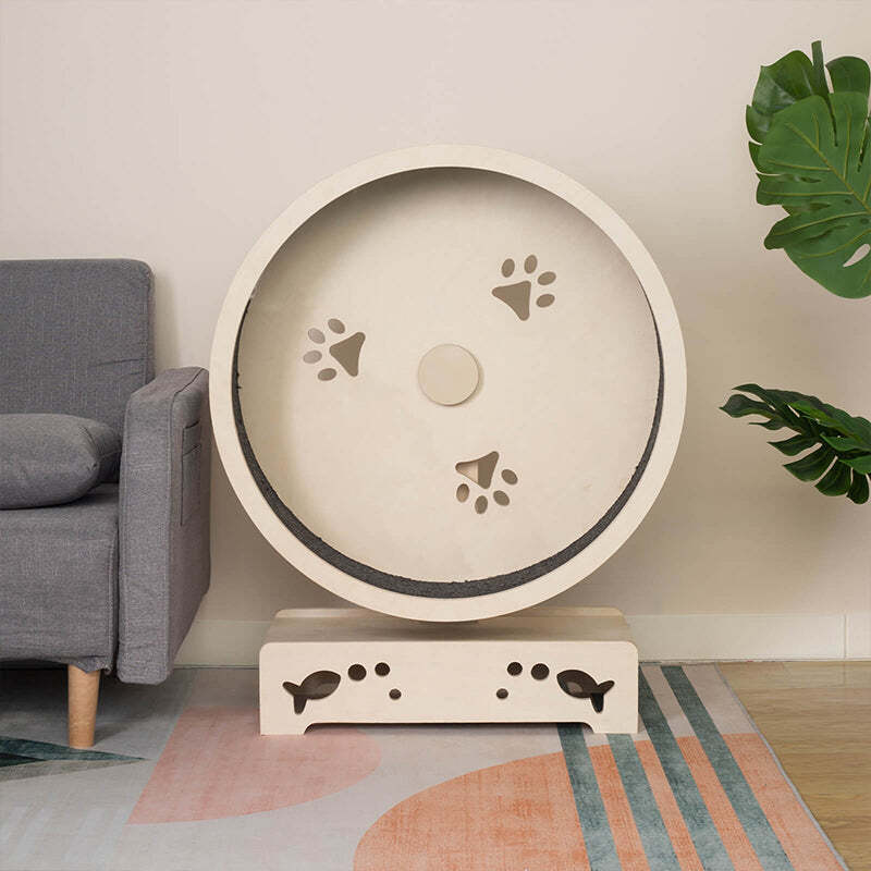 ❤️The Best Gift For Your Cats