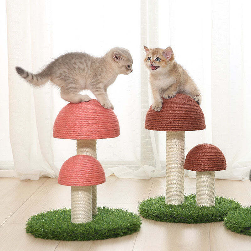 ❤️The Best Gift For Your Cats