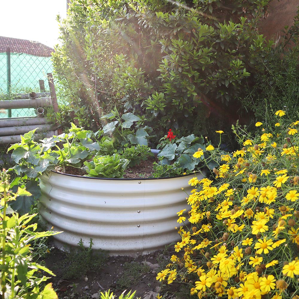 17&” Tall 42&” Round Metal Raised Garden Beds