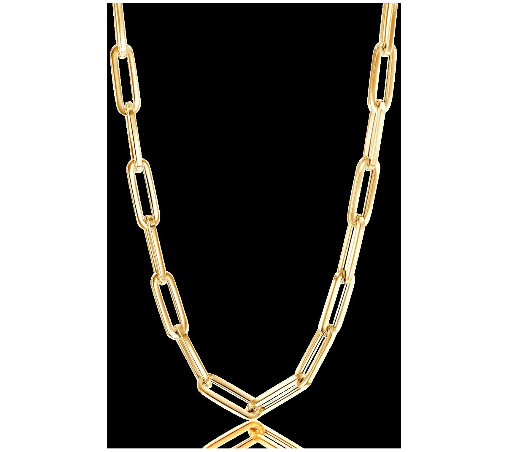 Alkeme 14K Gold Bold Paperclip Link Necklace