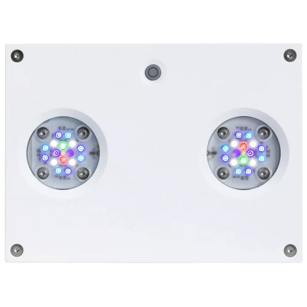 AI Hydra 32HD LED - White -