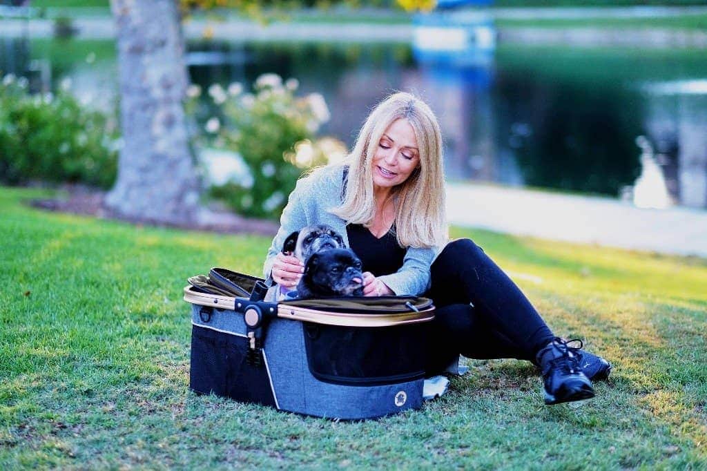 HPZ™ PET ROVER PRIME Luxury 3-in-1 Stroller for Small/Medium Dogs, Cats and Pets (Black)