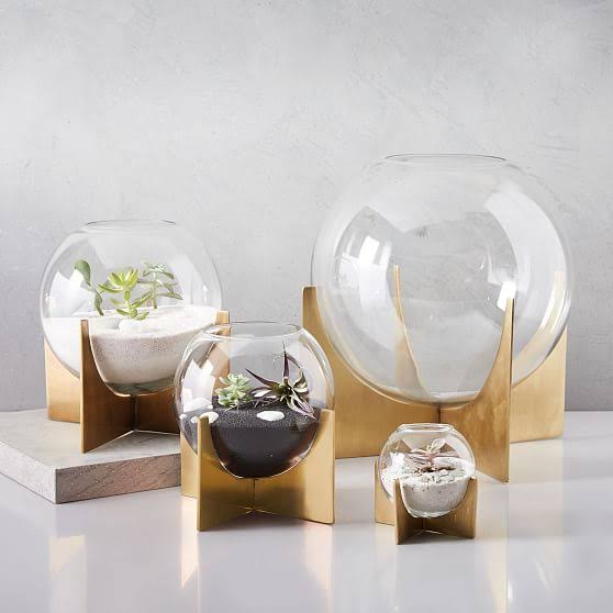 Cross Base Terrarium, Large - Home Decor - Planters u0026 Terrariums - Indoor Floral