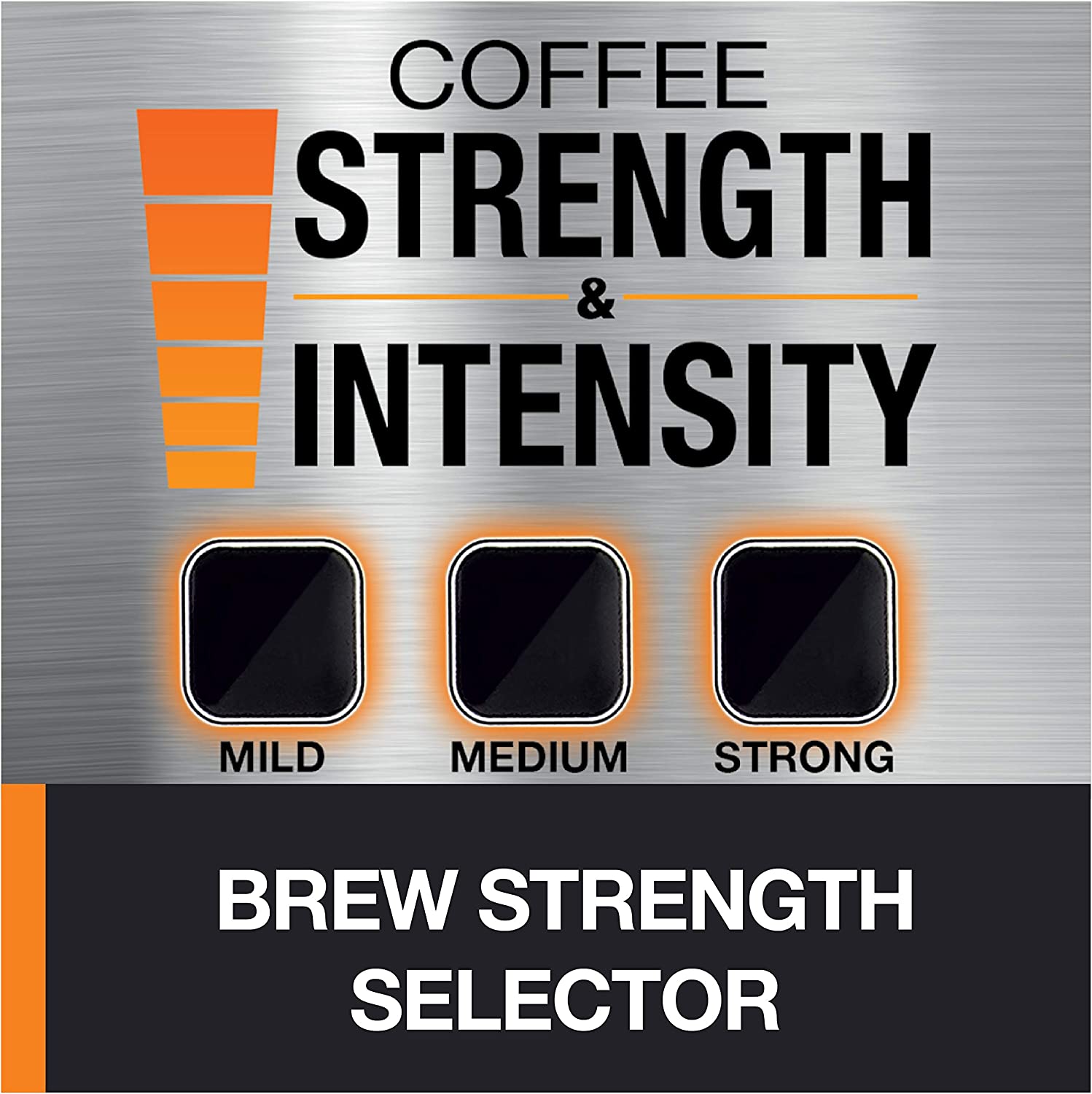 KRUPS Grind and Brew Auto-Start Maker with Builtin Burr Coffee Grinder, 10-Cups, Black