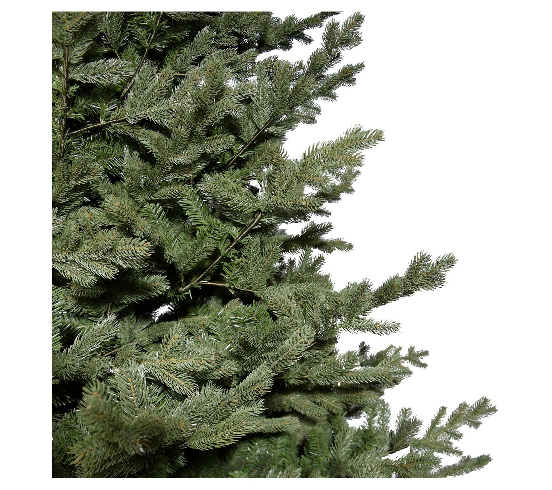 Fraser Hill Farm 10 Ft. Foxtail Pine ChristmasTree