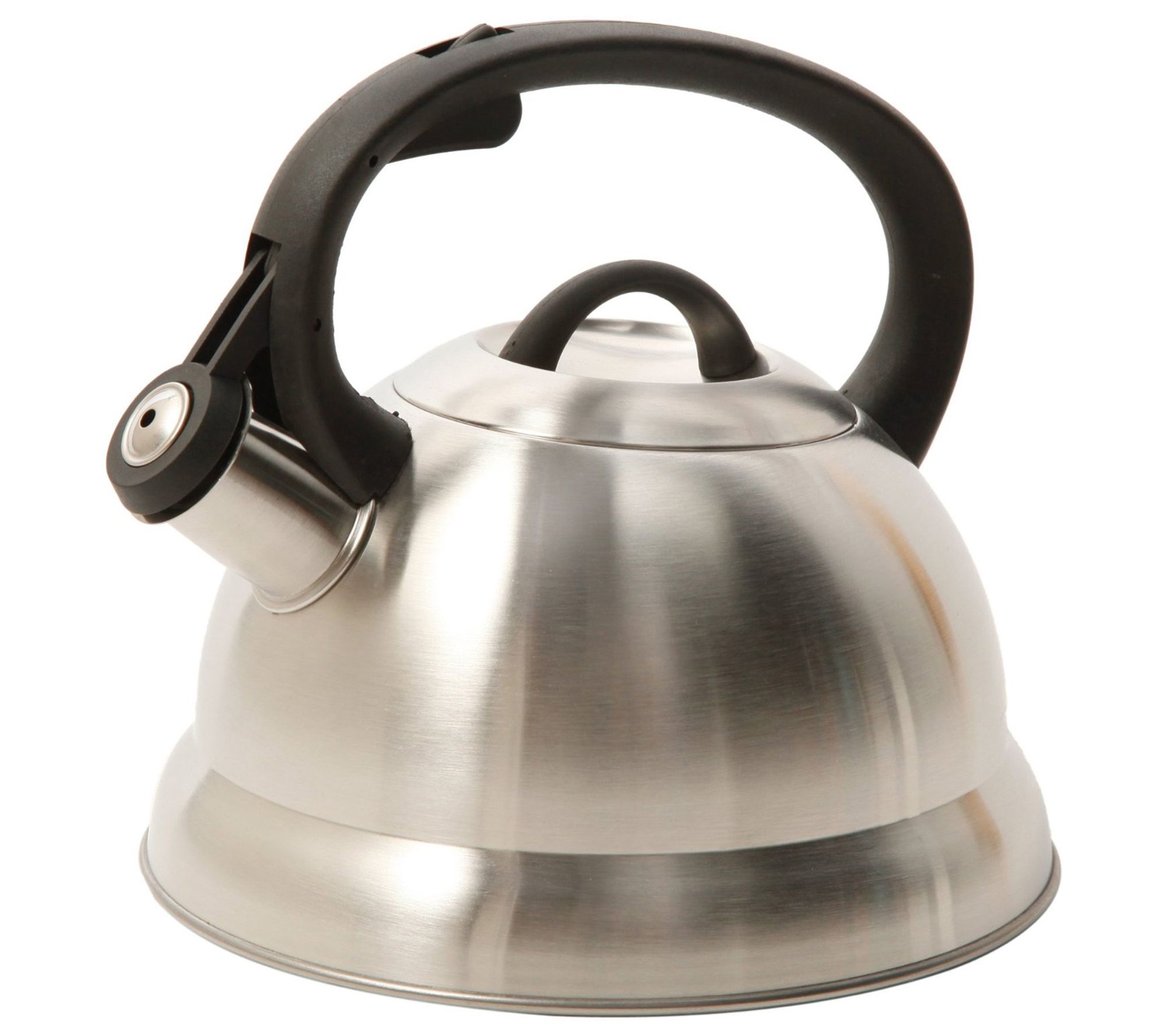 Mr. Coffee Flintshire 1.75-qt Stainless Steel Tea Kettle