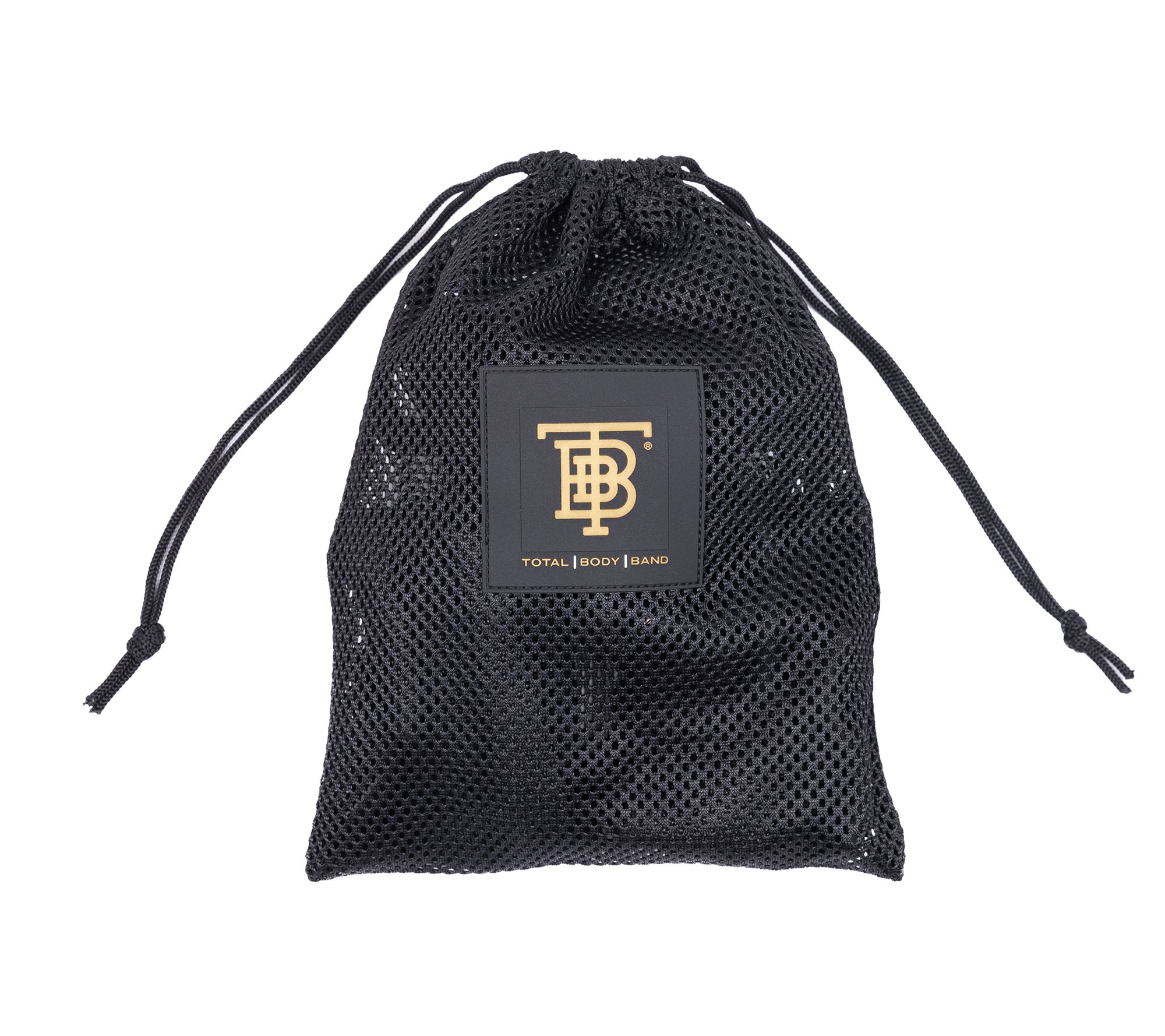 Total Body Bands Resistance Training w Bag & Wall Chart