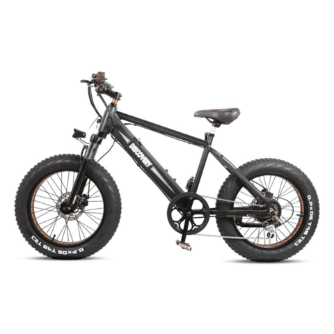 NAKTO Discovery Fat Tire Electric Bicycle