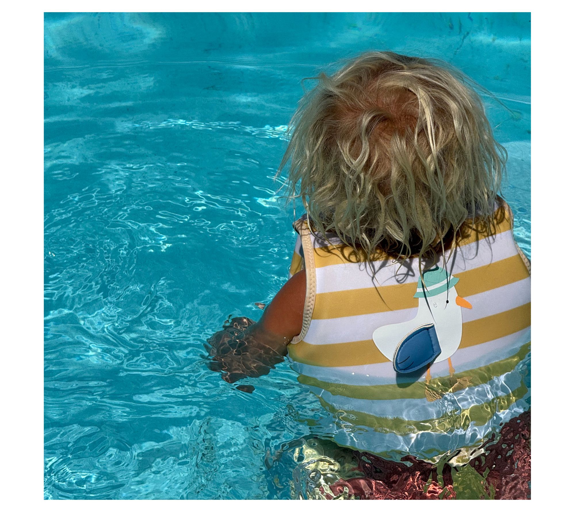 Sunnylife Kids Swim Vest 1-2 - Sid Seagull, 33lbs Cap