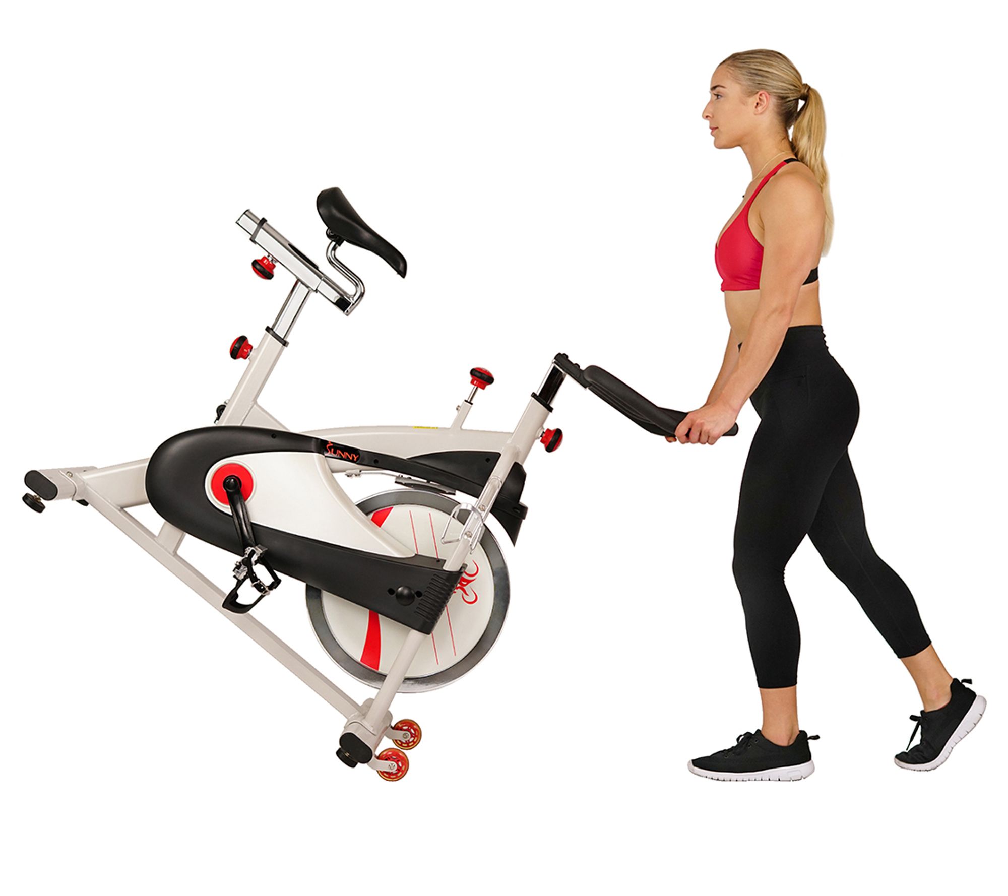 Sunny Health & Fitness SF-B1509 Belt Drive Premium Indoor Bike