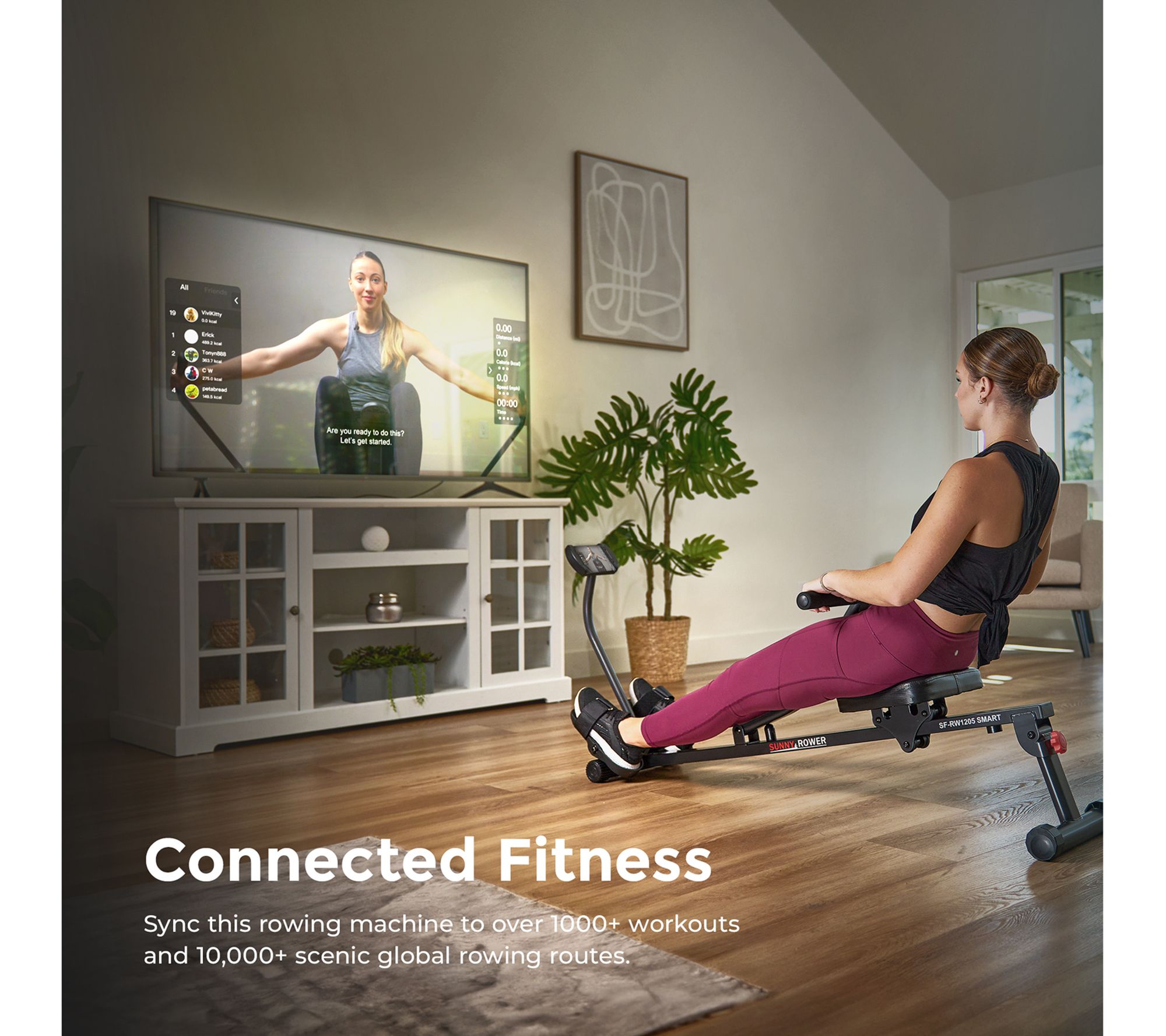 Sunny Fitness Compact Rowing Machine