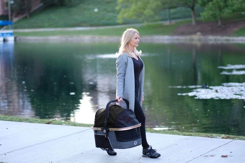 HPZ™ PET ROVER PRIME Luxury 3-in-1 Stroller for Small/Medium Dogs, Cats and Pets (Black)