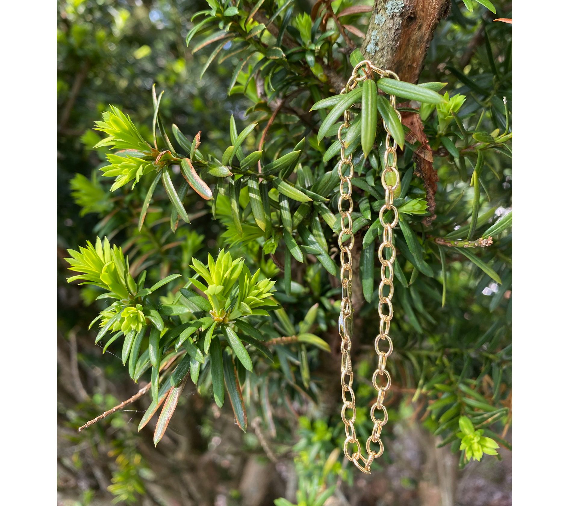 Alkeme 10K Gold Oval Link Bracelet