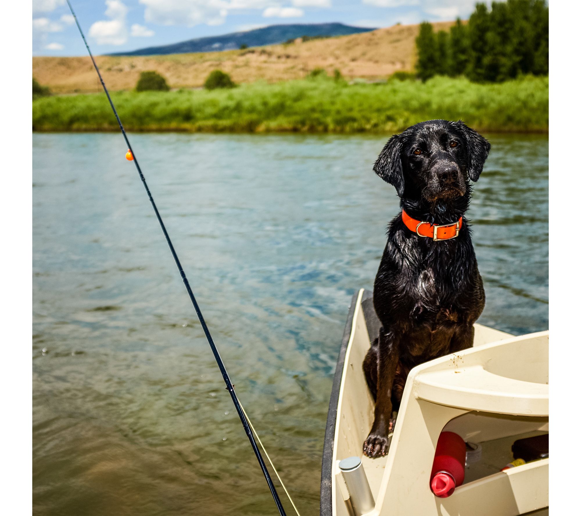 Wakeman Telescopic Carbon Fiber 5.5' Fishing Pole Ambidextrous