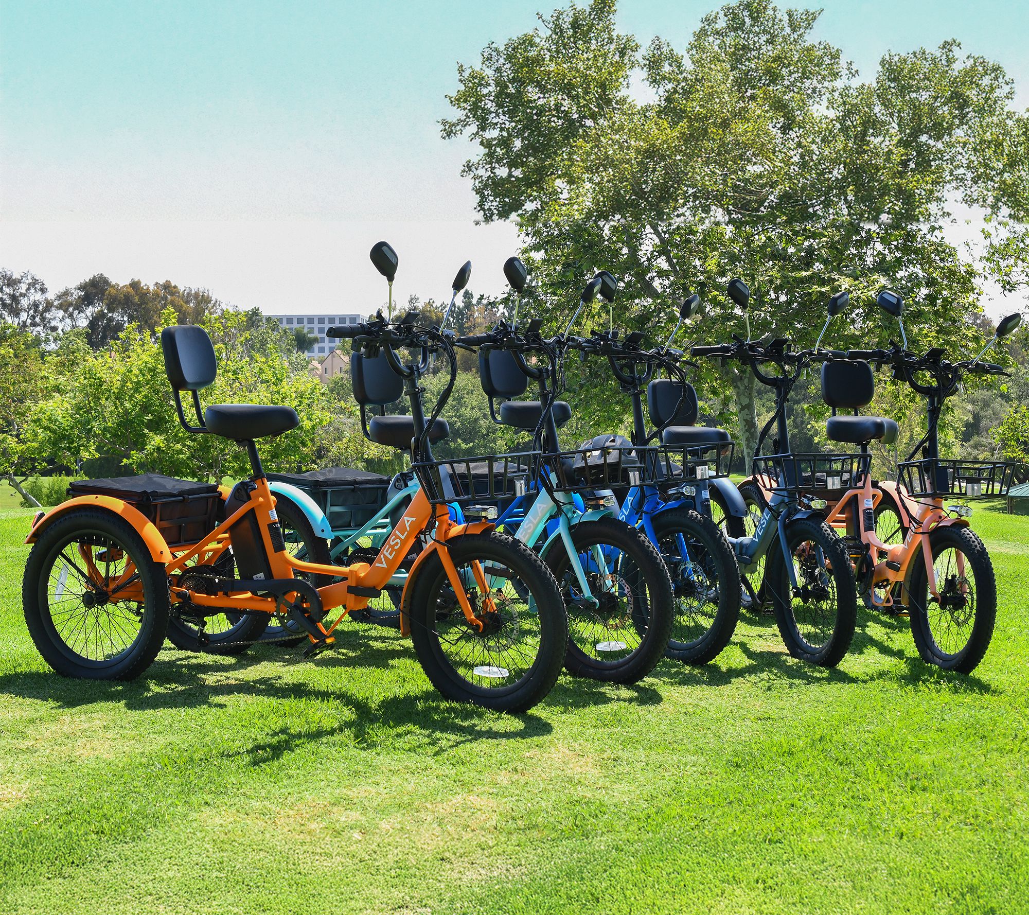 Vesla Folding Low-Step 750W E-Trike w/16MPH Speed & Accessories