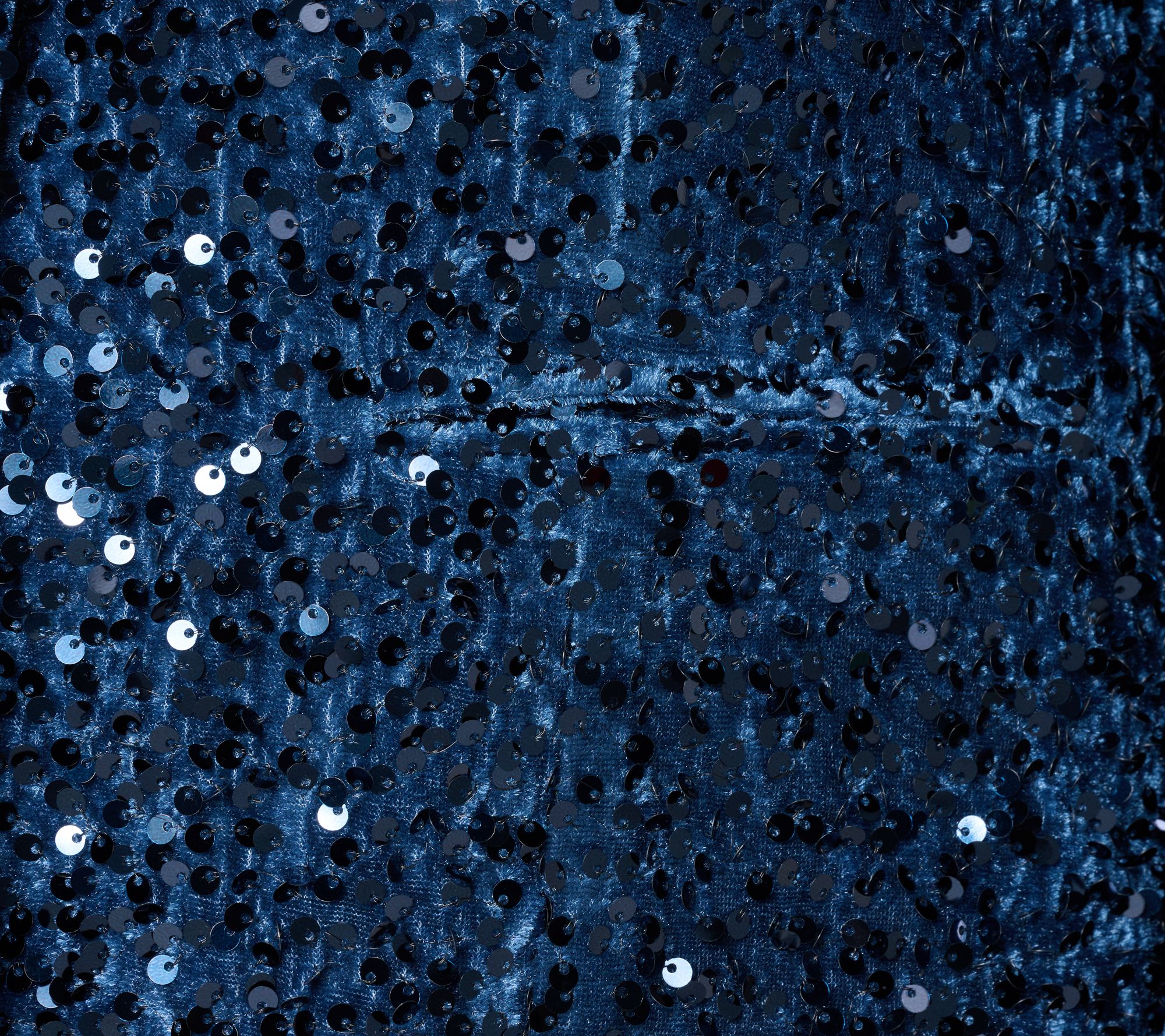 nicole by Nicole Miller Sequin Velvet Blazer