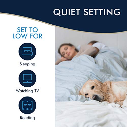 11000 BTU Portable Air Conditioner Includes Window Kit + Remote Control/400 sq ft