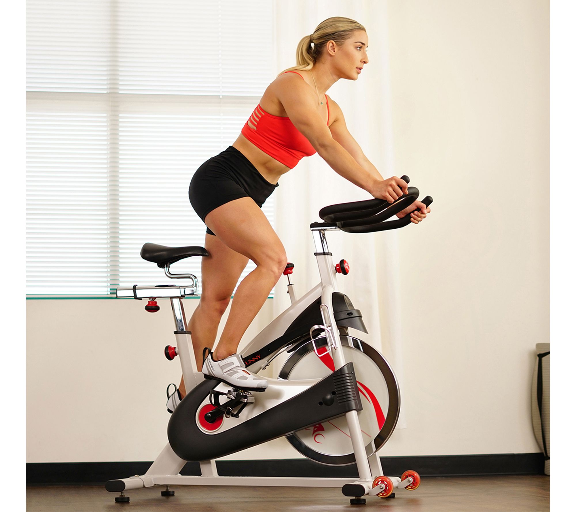 Sunny Health & Fitness SF-B1509 Belt Drive Premium Indoor Bike