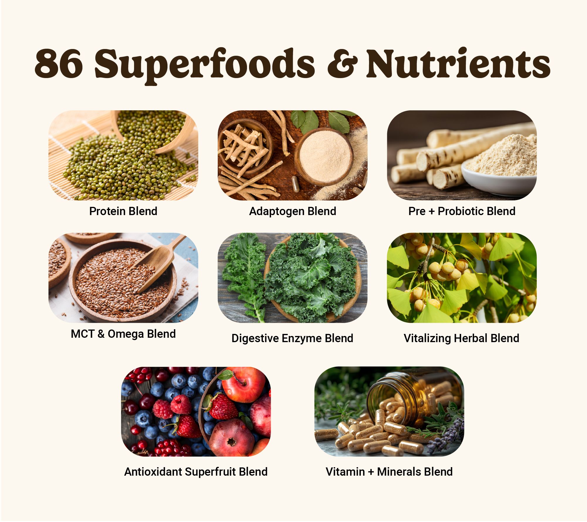 VitaHustle ONE Superfood Max 30g Protein & 5g Creatine 15 Servings