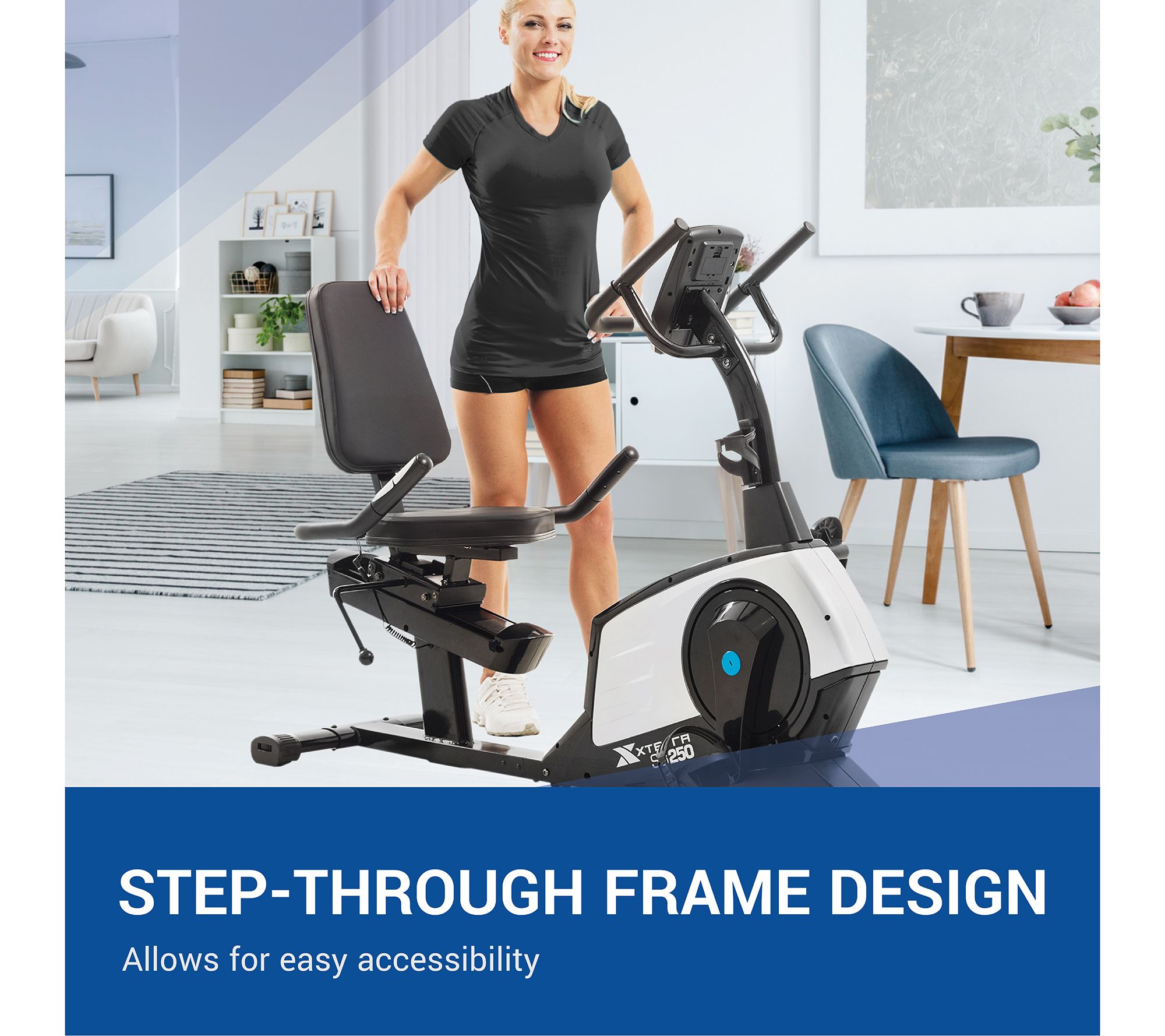 XTERRA SB250 Recumbent Bike