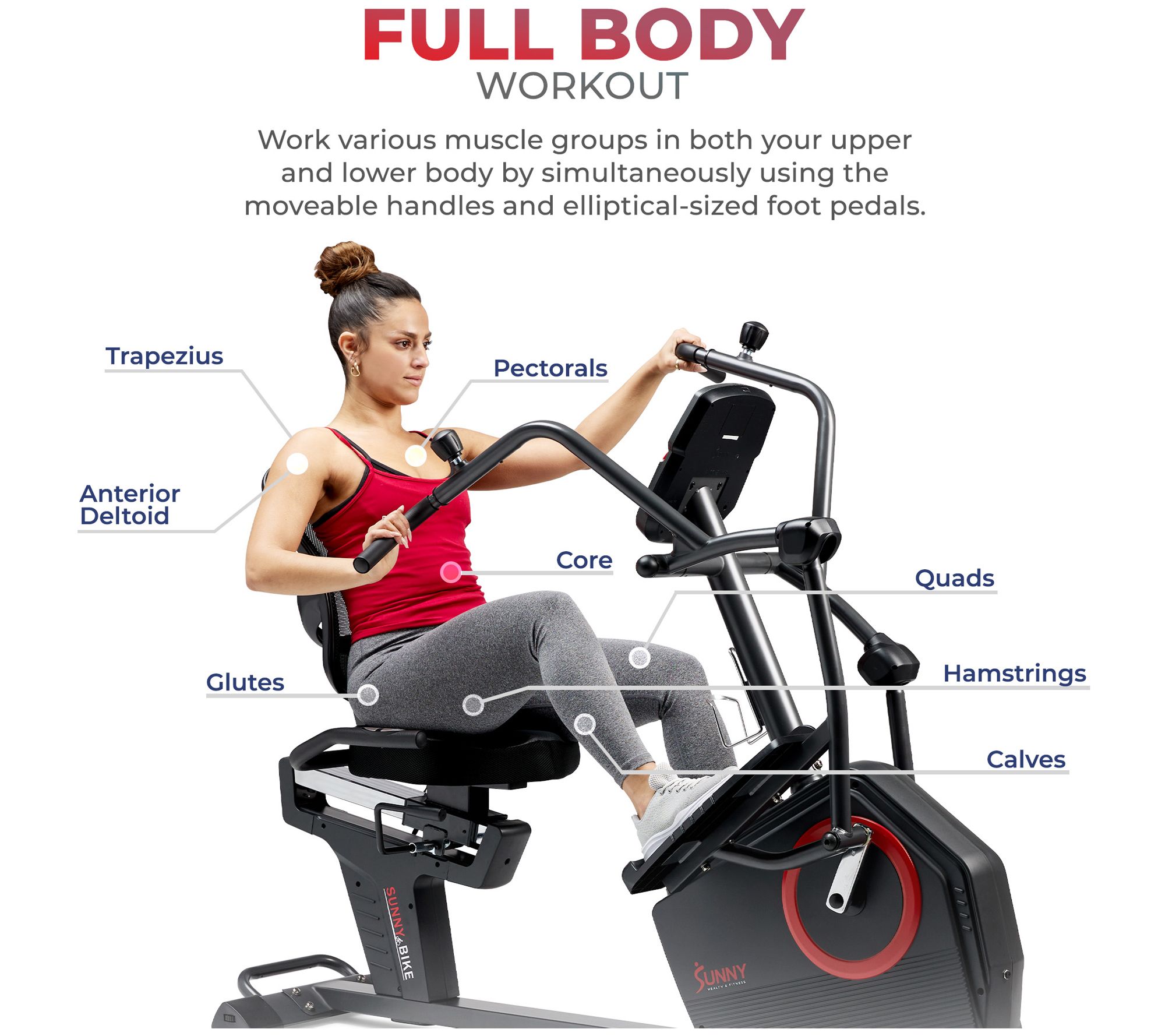 Sunny Health & Fitness Recumbent Elliptical Bike