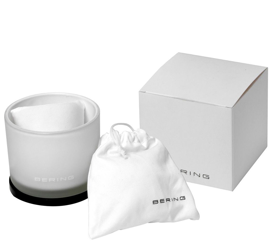 Bering Women's Stainless Mesh Bracelet Watch