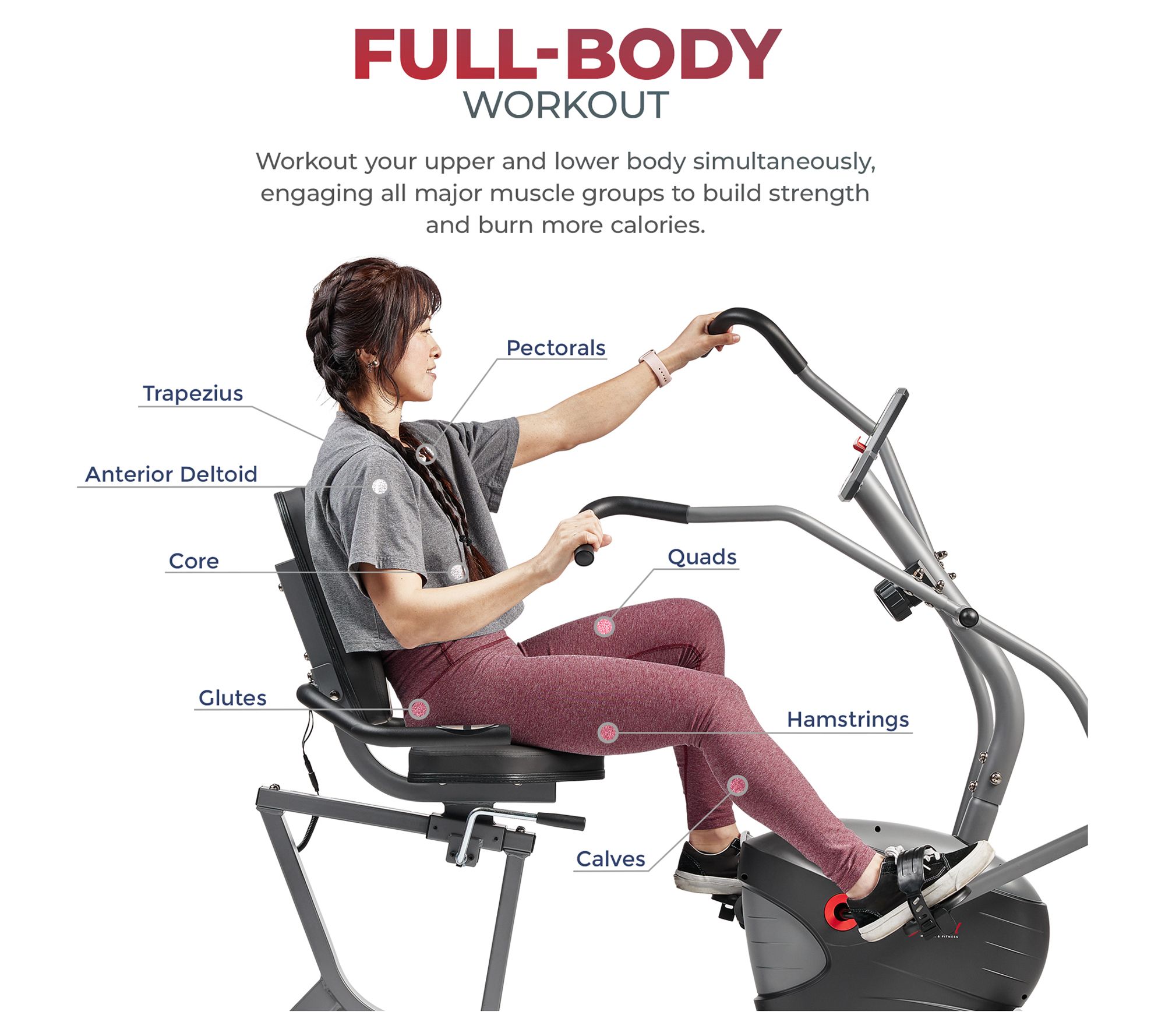 Sunny Health & Fitness Performance Recumbent Bike