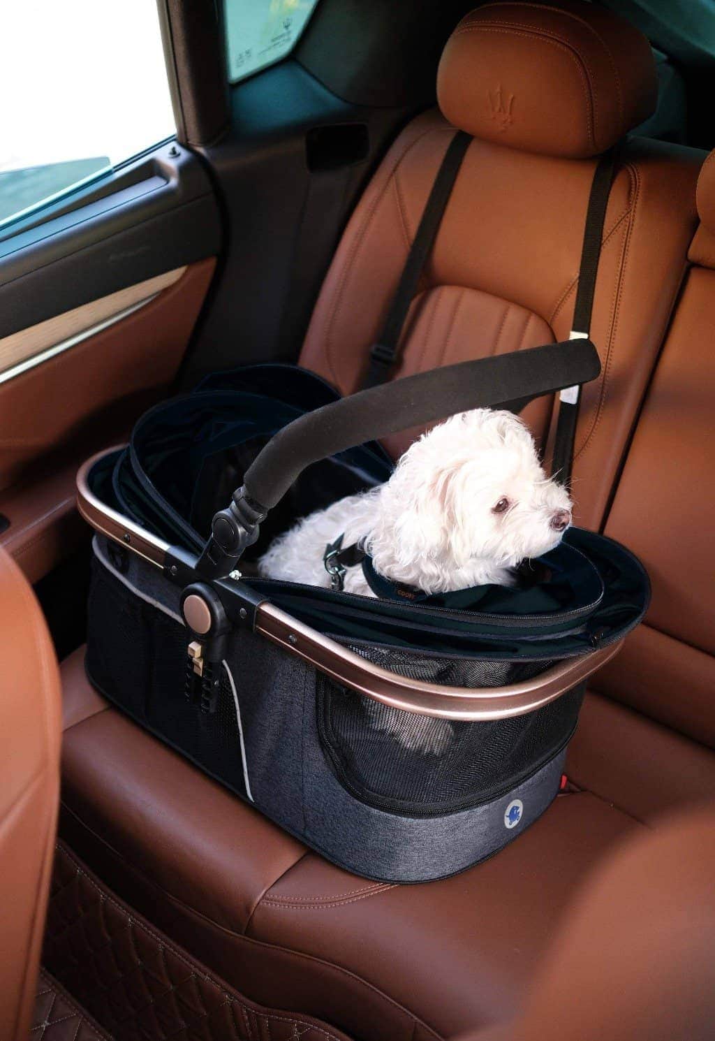 HPZ™ PET ROVER PRIME Luxury 3-in-1 Stroller for Small/Medium Dogs, Cats and Pets (Black)