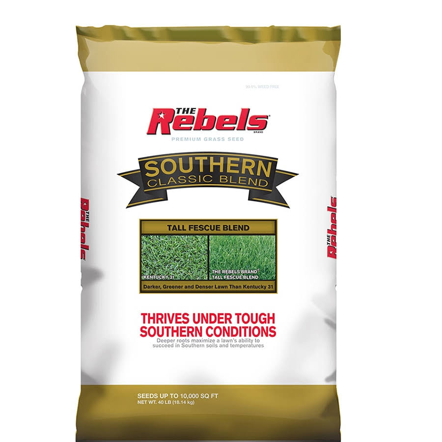 Rebel Southern Classic 40-lb Tall Fescue Grass Seed | 2149601034
