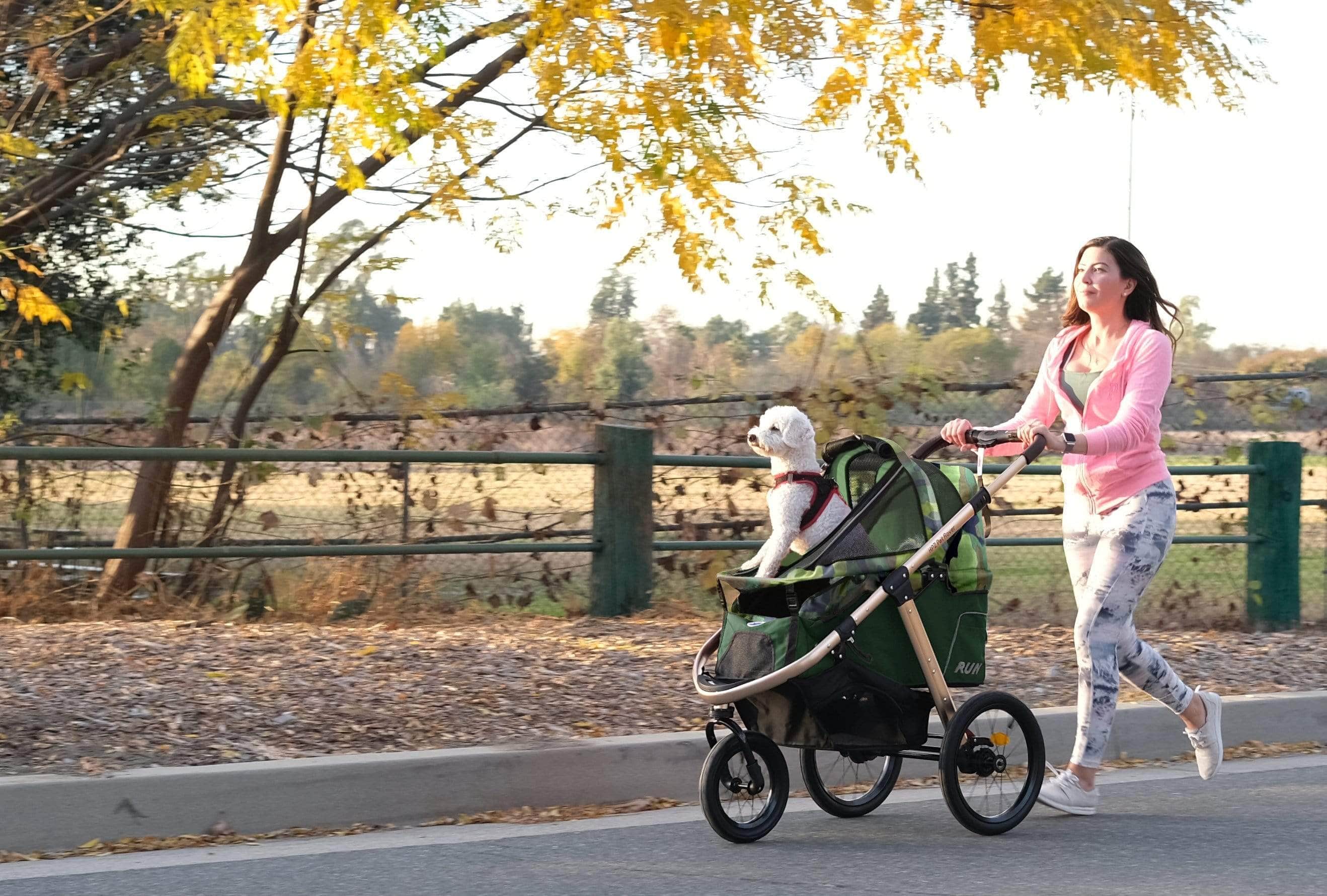 HPZ™ PET ROVER RUN Performance Jogging Sports Stroller for Small/Medium Dogs, Cats and Pets (Green Camo)