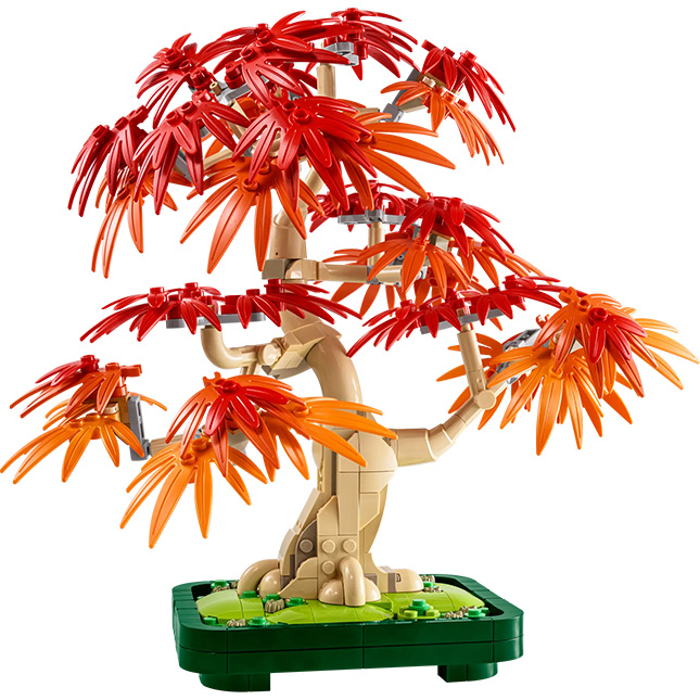 LEGO Botanicals - Japanese Red Maple Bonsai Tree