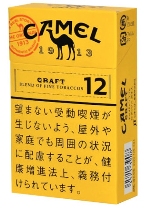 Camel Craft 12