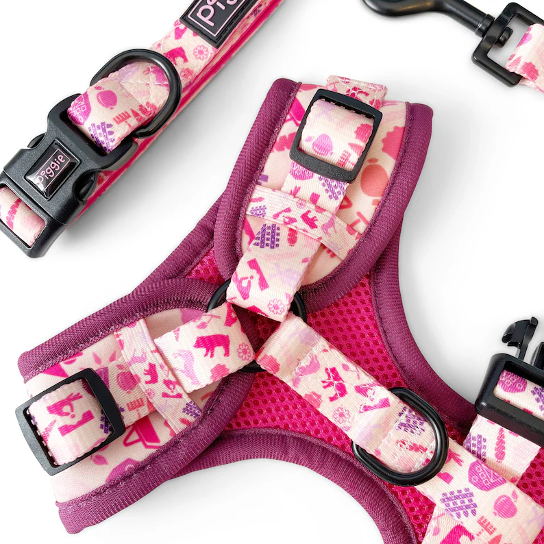 PIG-TURE PERFECT Dog Harness Bundle - Includes Dog Collar and Dog Lead - Quality Dog Accessories - Discounted Bundle Price