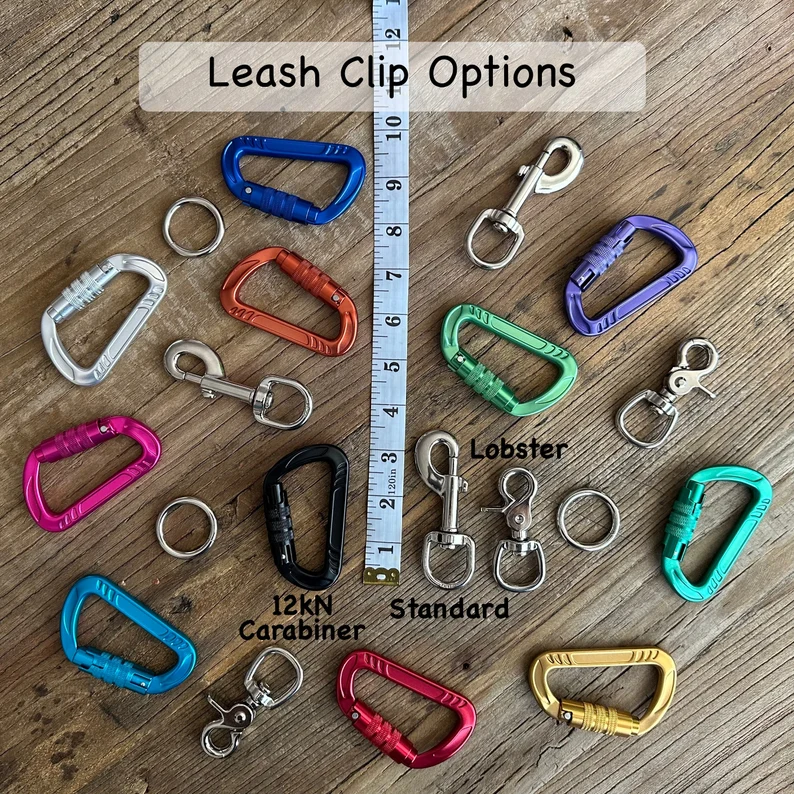 Custom Climbing Rope Dog Leash (150+ rope options): Upcycled Brand Name Gear, Handmade in California